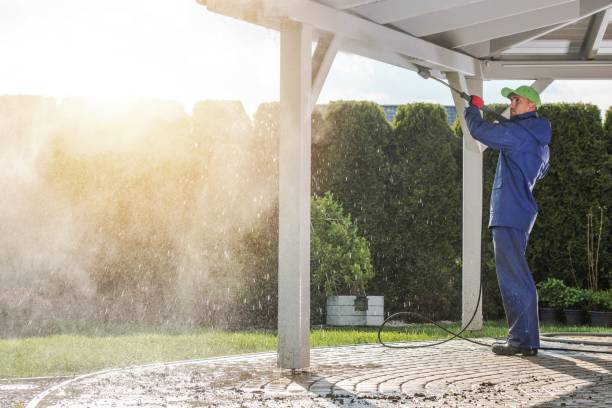Best Sidewalk and Walkway Cleaning  in Okeechobee, FL