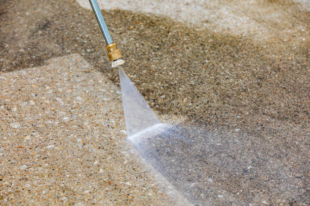 Animal Enclosure Cleaning in Okeechobee, FL